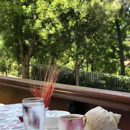 Nizam Butik Otel- Bistro Hotel Adalar