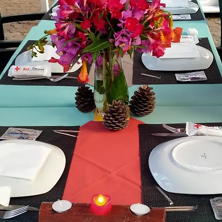 Nizam Butik Otel- Bistro Hotel Adalar