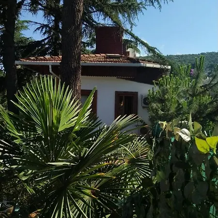 Nizam Butik Otel- Bistro *
